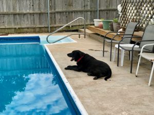 Fabi lies by the pool