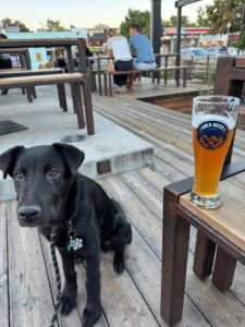 Toby with a beer at Denver Beer Co. (Downing)